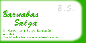 barnabas salga business card
