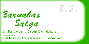 barnabas salga business card